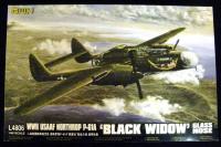 WWII USAAF Northrop P-61A "Black Widow" Glass Nose